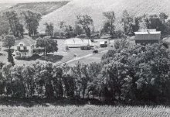 Glenn Johnston Farm