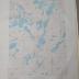 U.S. Geological Survey Maps depicting Pope County, Minnesota