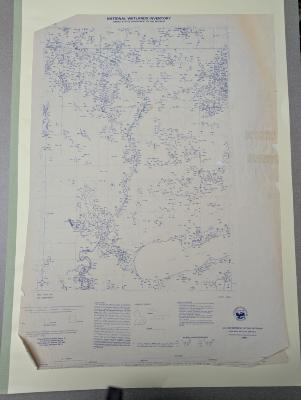 Maps of the National Wetlands Surveys