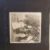 Photograph Album, 1914