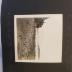 Photograph Album, 1914