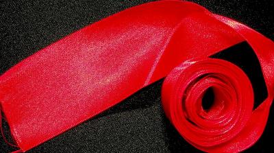 Ribbon used at ribbon cutting to re-open Ramsey County Beach