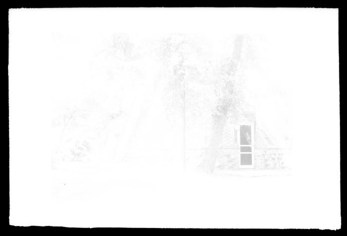 Negative, Sheet Film