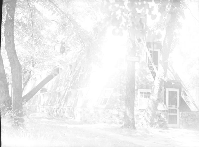 Negative, Sheet Film