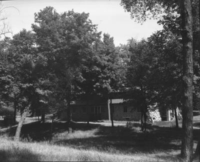 Negative, Sheet Film