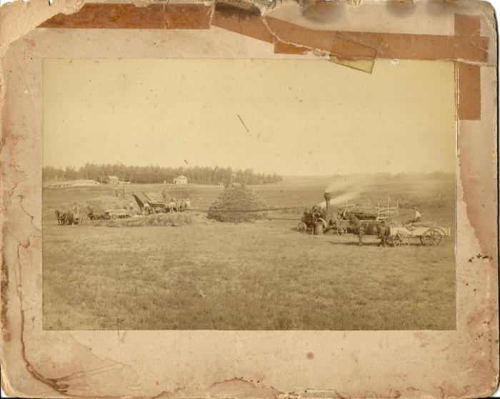 Print, Photographic