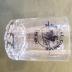 Whiskey Glass for Black Cat Squadron, 1982