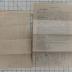 Personal papers of Thurber Family