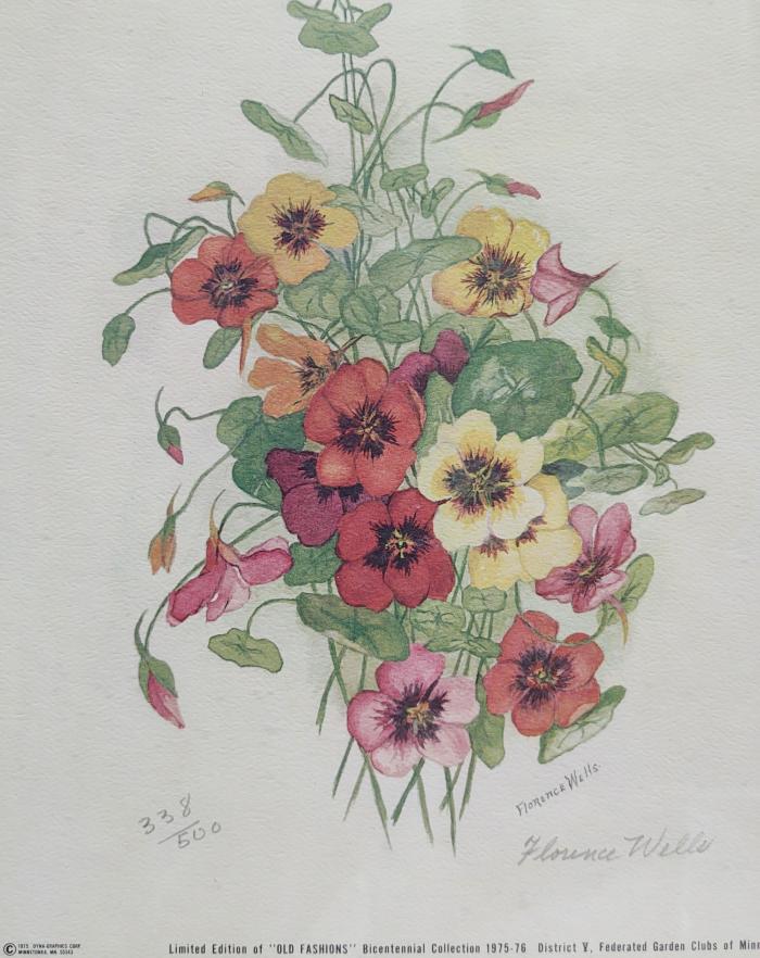 Print: Nasturtiums 