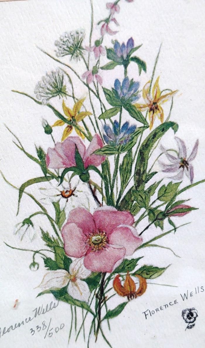 Print: wild roses