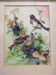 Watercolor: Grossbeaks