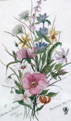 Print: wild roses
