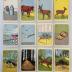 Sorte Per card game