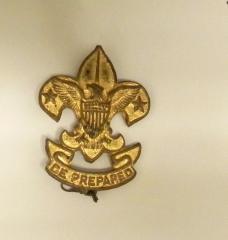 Pin, Boy Scout First Class Scout rank 