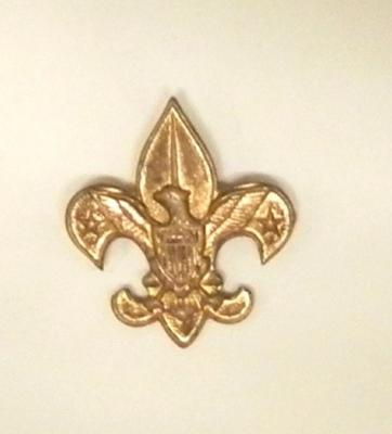 Pin, Boy Scout Tenderfoot rank