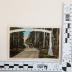 East Entrance to Birchmont Beach Hotel Grounds Postcard 
