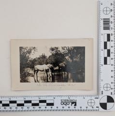 In the Mississippi River postcard