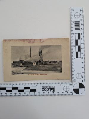 Bemidji Lumber Co. Mill Postcard