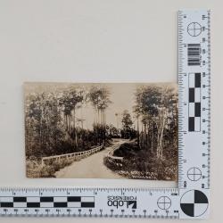 Postcard of the Itasca State Park