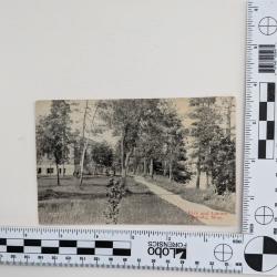 Park and Library in Bemidji Minnesota Postcard