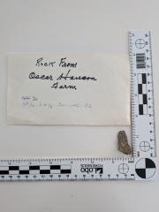 rock from ocean hanson farm