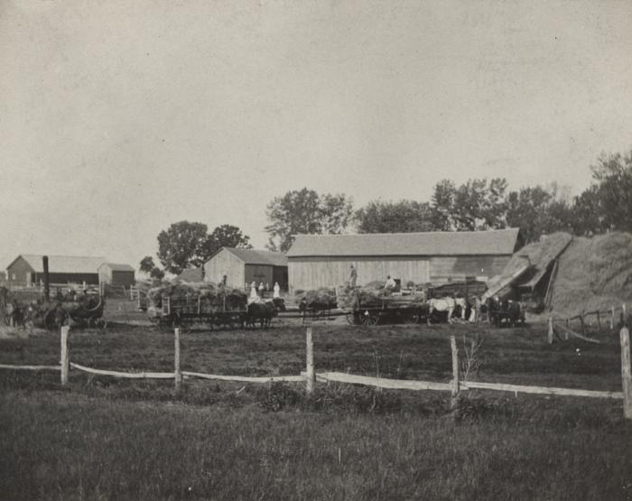 Threshing Grain