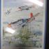 Red Tail #61  Joe Gomer's plane