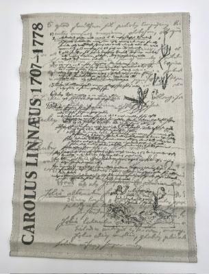 Carolus Linnaeus Ekelund Towel: Wall Hanging