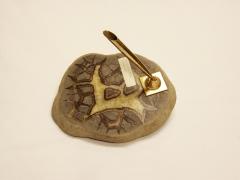 Pen Holder, 1970