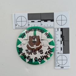 Bemidji State University Homecoming