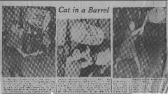 Cat in a Barrel newspaper feature