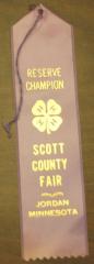 Scott County 4-H Prize Ribbon, Jordan, 1995