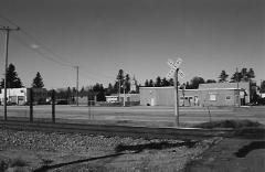Shevlin in the 1990's.