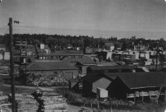 Martin Lumber Co., Shevlin, 1928-1980.