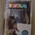 Sled Dog Race Buttons
