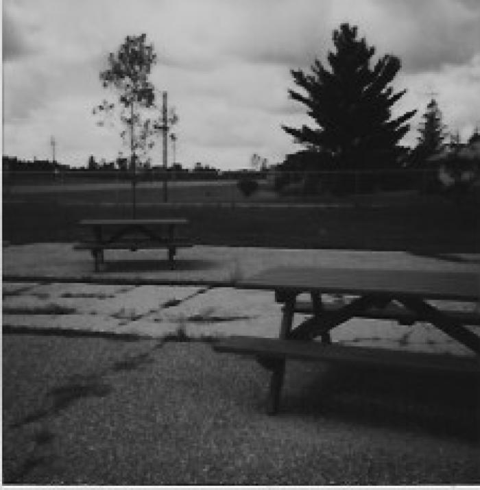 CCHS, New Picnic Tables, 1998.