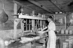 Early Logging Photos