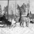 Early Logging Photos
