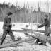 Early Logging Photos