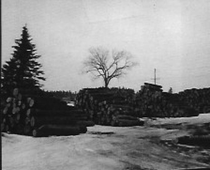 Martin (Larson) Lumber Co., Wood Piles.