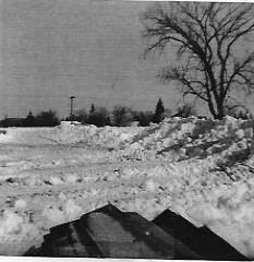 Larson Lumber Co., 1928-1980.