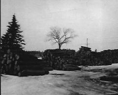Martin (Larson) Lumber Co., Wood Piles.