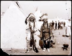 Negative, Glass-plate