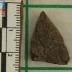 Projectile Point