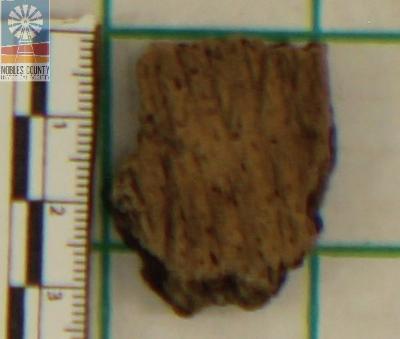 Native American pottery shard