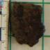 Native American pottery shard