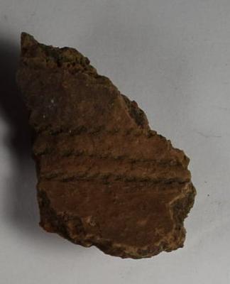 Sherd