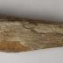 Fragment