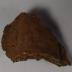Sherd