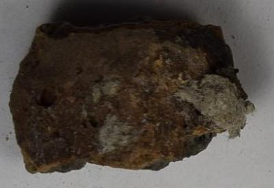 Sherd